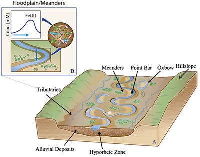 Editorial: Linking Hydrological and Biogeochemical Processes in Riparian Corridors